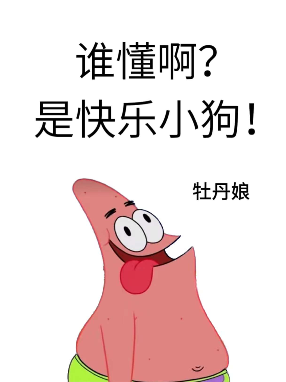 谁懂啊？是快乐小狗！[娱乐圈]